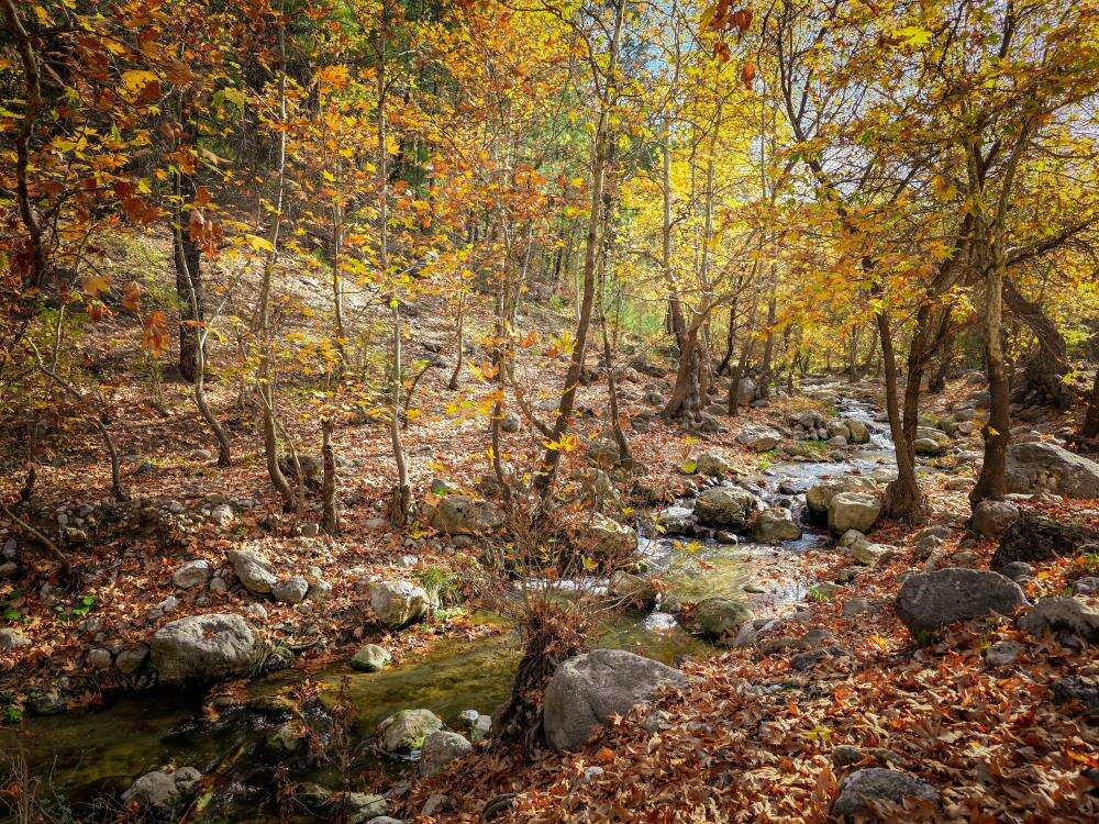 Belemedik kartpostala döndü! Konyalılar da akın ediyor 5